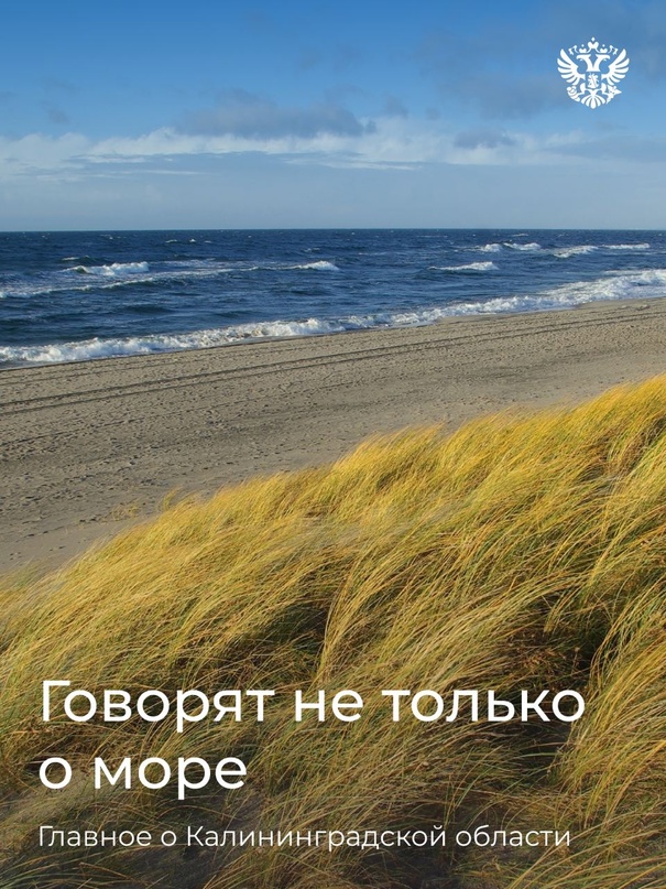 О поддержке бизнеса в Калининградской области поговорили. А результатами и планами по развитию всего региона Максим Решетников поделился на совещании под председательством Президента.