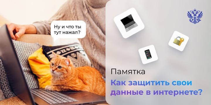 Не просто так в один день проходят сразу два праздника — День безопасного Интернета и День отказа от мобильного телефона