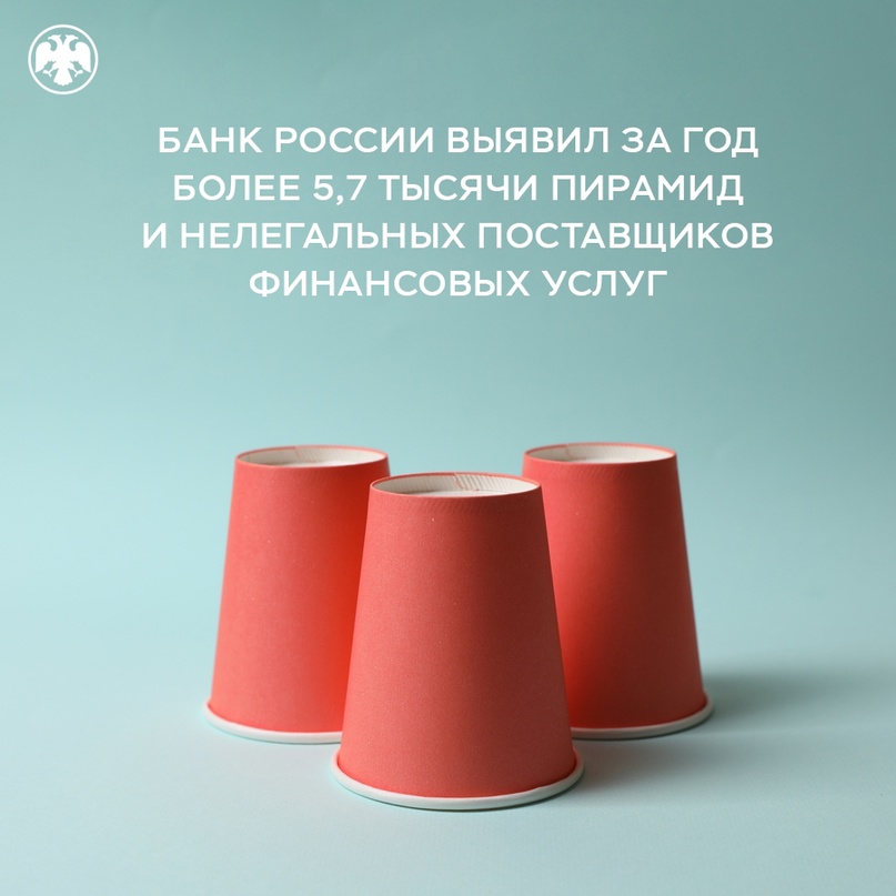 В 2023 году мы обнаружили на 15,5% больше финансовых пирамид и нелегалов, чем годом ранее.