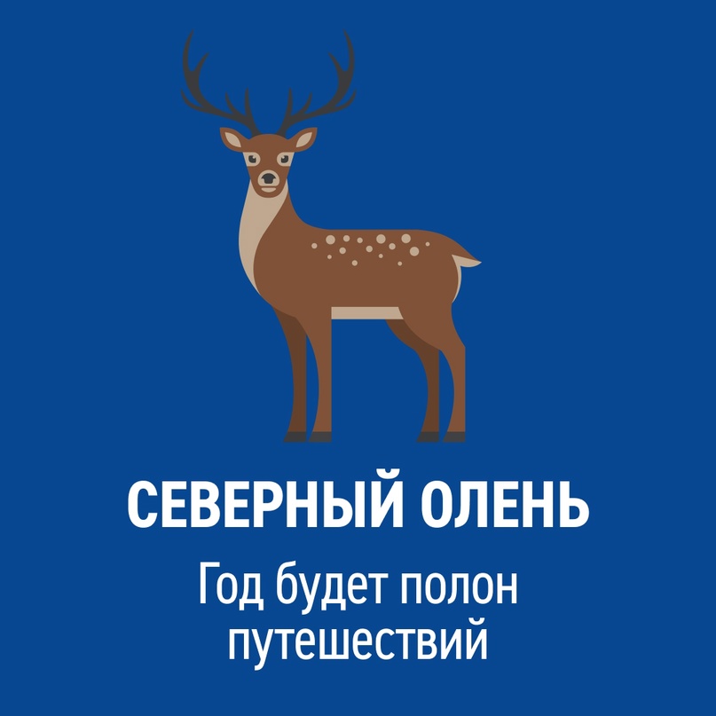 Наступил Новый год по лунному календарю. Его символ — зеленый деревянный дракон, приносящий удачу и процветание.