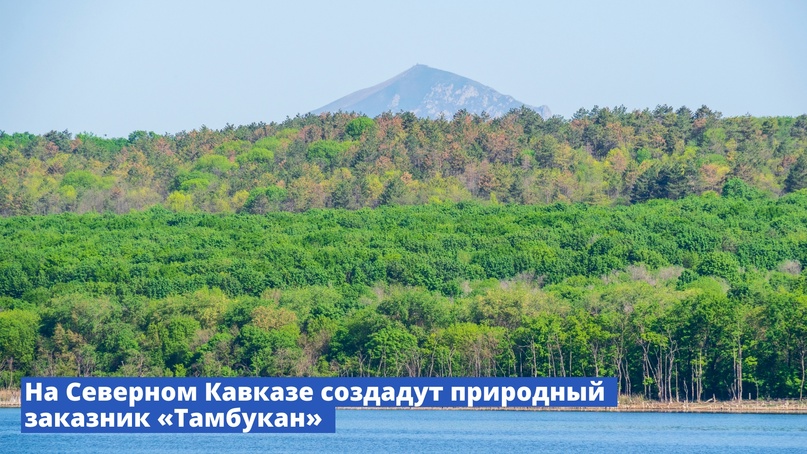 На Северном Кавказе создадут природный заказник «Тамбукан»