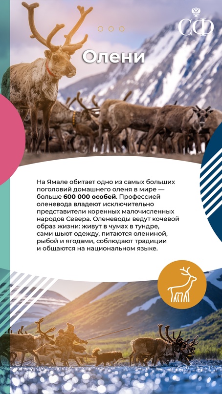 В Совете Федерации проходят Дни Ямало-Ненецкого автономного округа