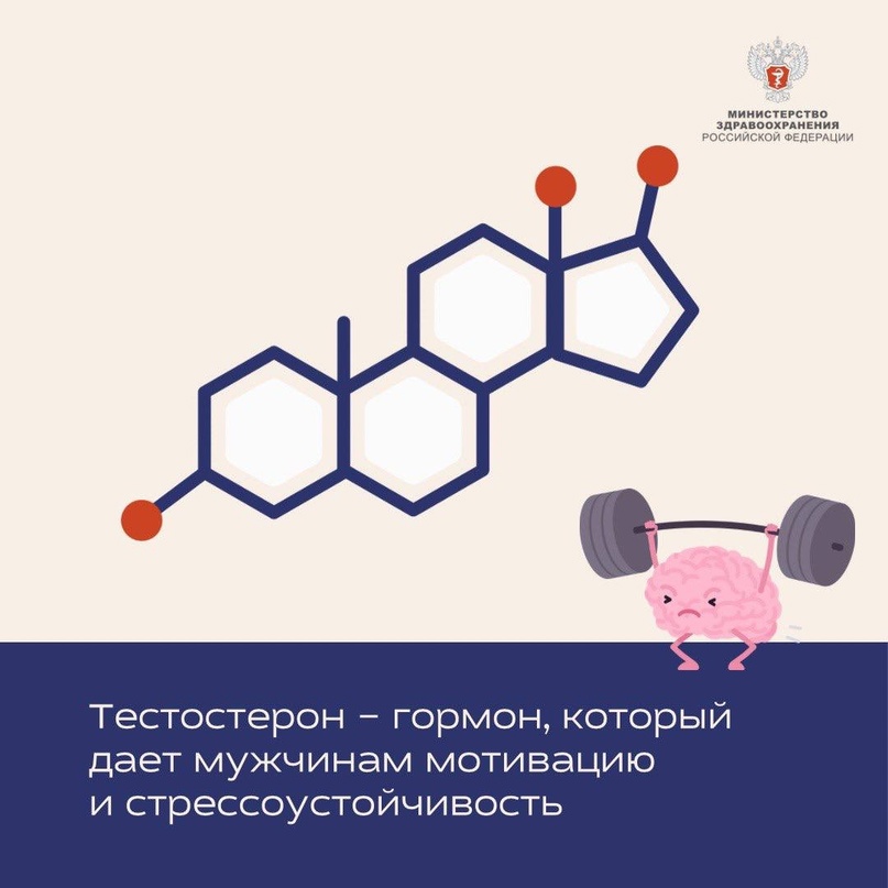 Тестостерон — гормон, который дает мужчинам мотивацию и стрессоустойчивость