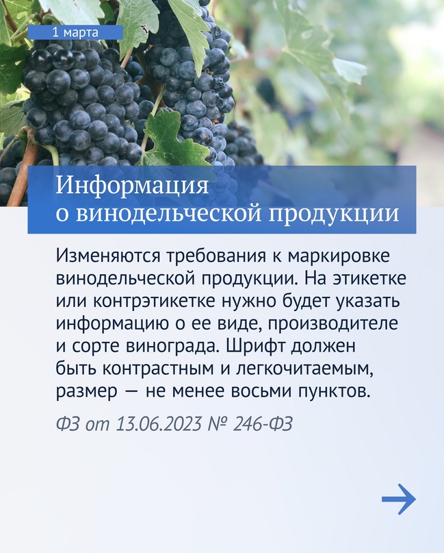 Вячеслав Володин рассказал, какие законы начинают работать в первый месяц весны.