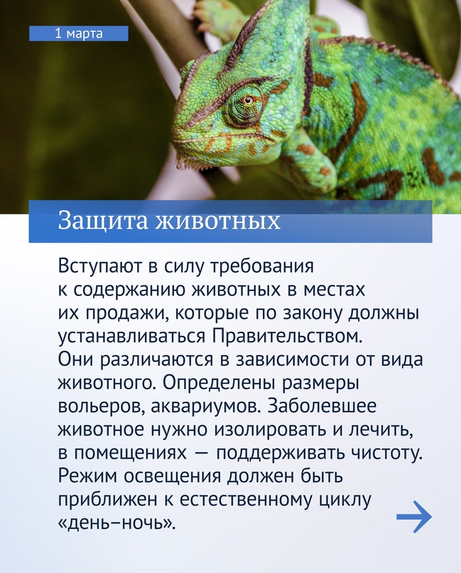 Вячеслав Володин рассказал, какие законы начинают работать в первый месяц весны.