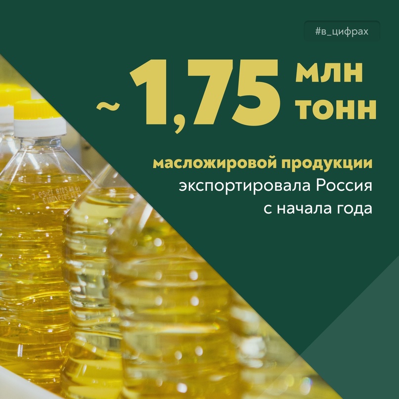 С начала года экспорт масложировой продукции вырос почти на 18%