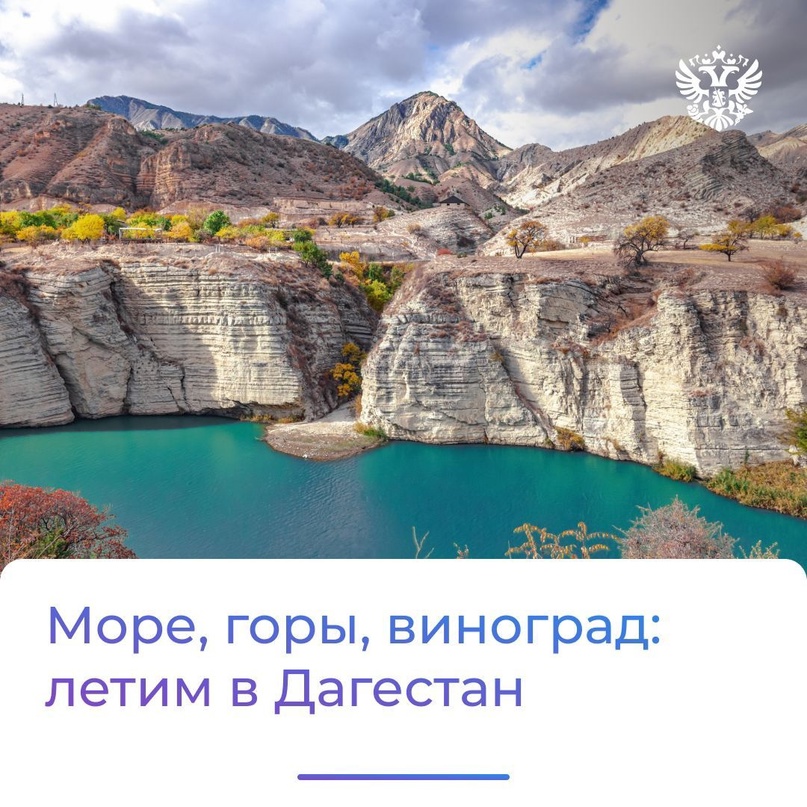 Хорошая неделя — та, что начинается с развития экономики самого солнечного региона страны, поэтому сегодня мы в Дагестане.