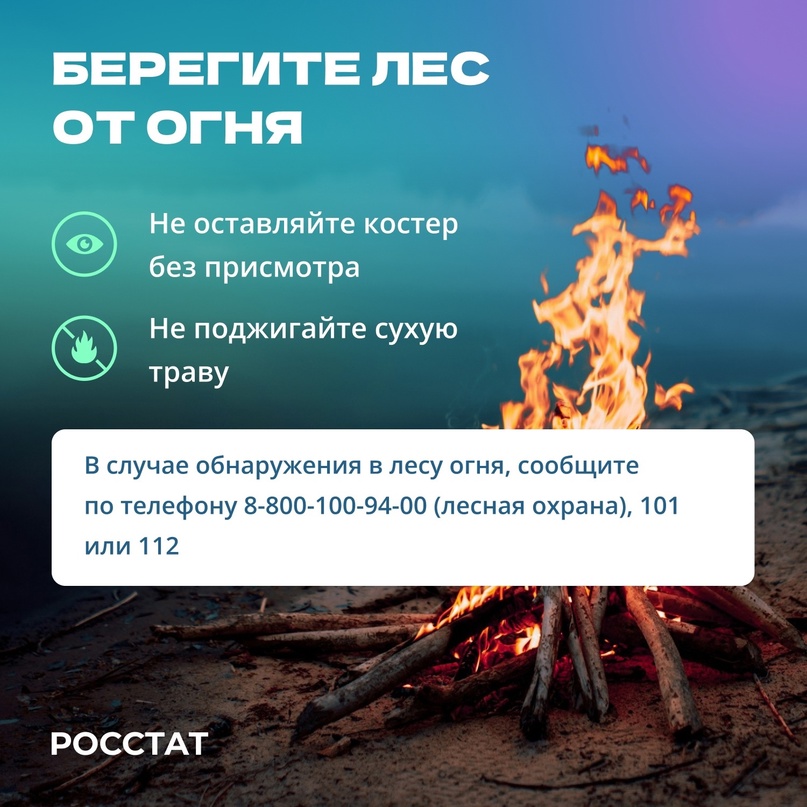 #Котистика В 2023 году в Российской Федерации воспроизвели 1 170 тысяч гектаров лесов