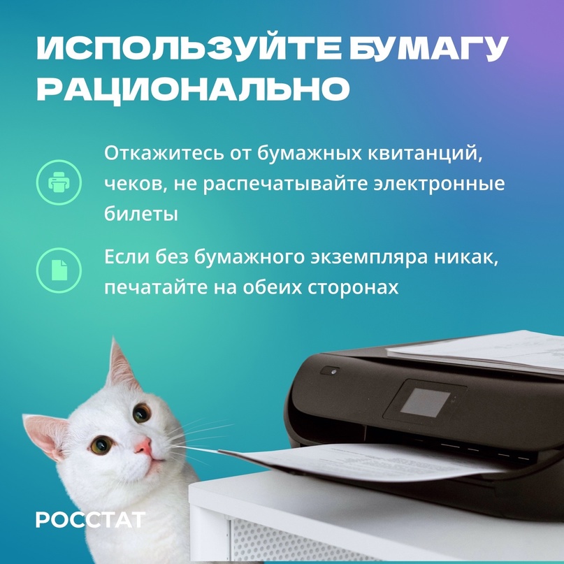 #Котистика В 2023 году в Российской Федерации воспроизвели 1 170 тысяч гектаров лесов