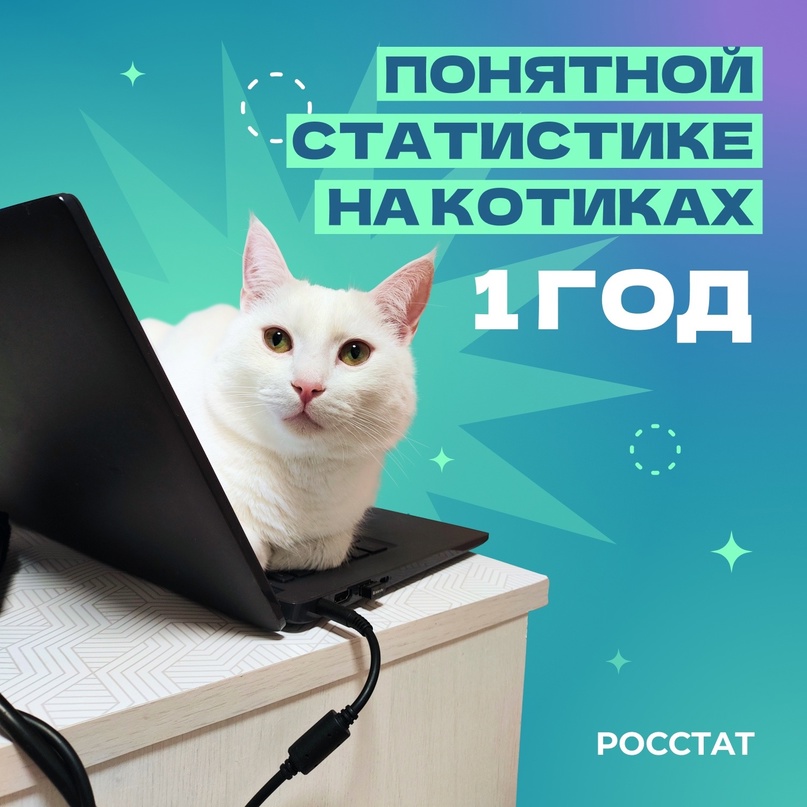 Год назад у нас появилась новая рубрика #Котистика.