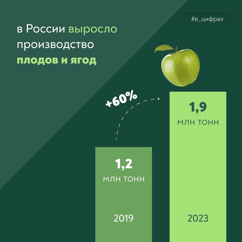 В прошлом году в организованном секторе собрали 1,9 млн тонн фруктов и ягод. Урожай вырос более чем в полтора раза по сравнению с 2019 годом.