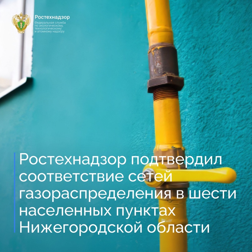 Специалисты Волжско-Окского управления Ростехнадзора провели оценку соответствия сетей газораспределения деревень Лебедево, Сбоиха, Пшеничное, Ягодное,…