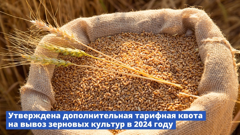 Утверждена дополнительная тарифная квота на вывоз зерновых культур в 2024 году