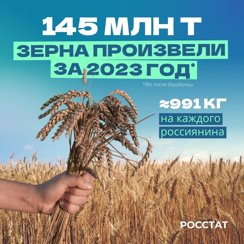 Производство зерна Объем производства зерна в 2023 году составил 145 млн тонн (в весе после доработки).