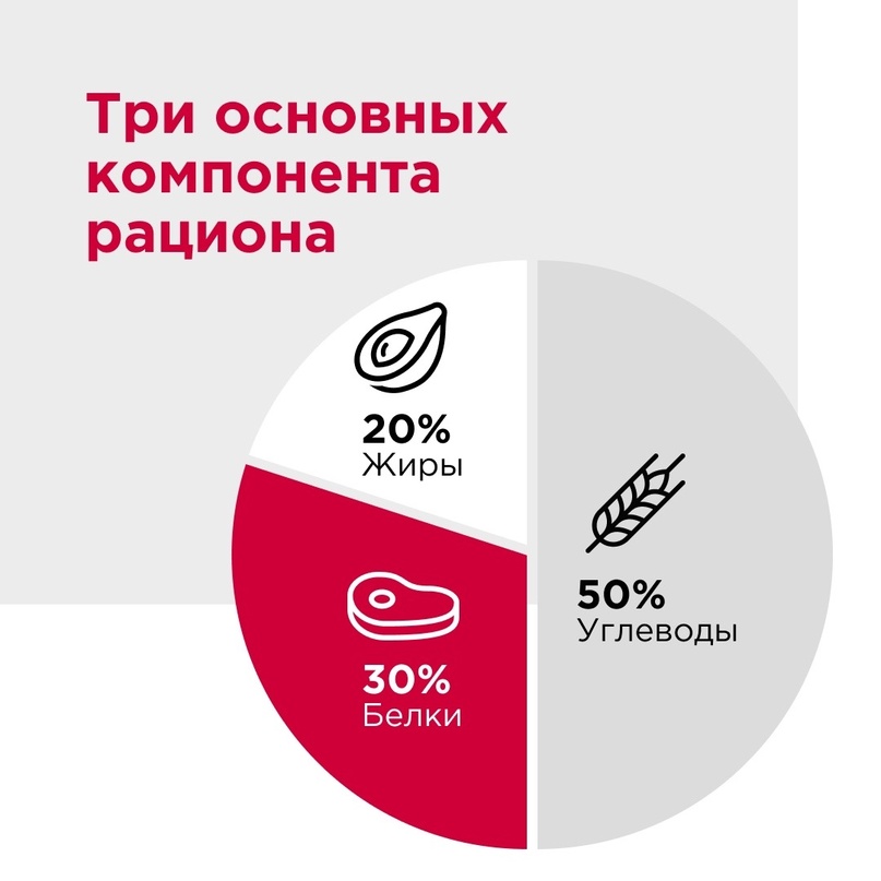 Если вы уже начали активную подготовку к лету, достали спортивную одежду и выбрали диету — не спешите