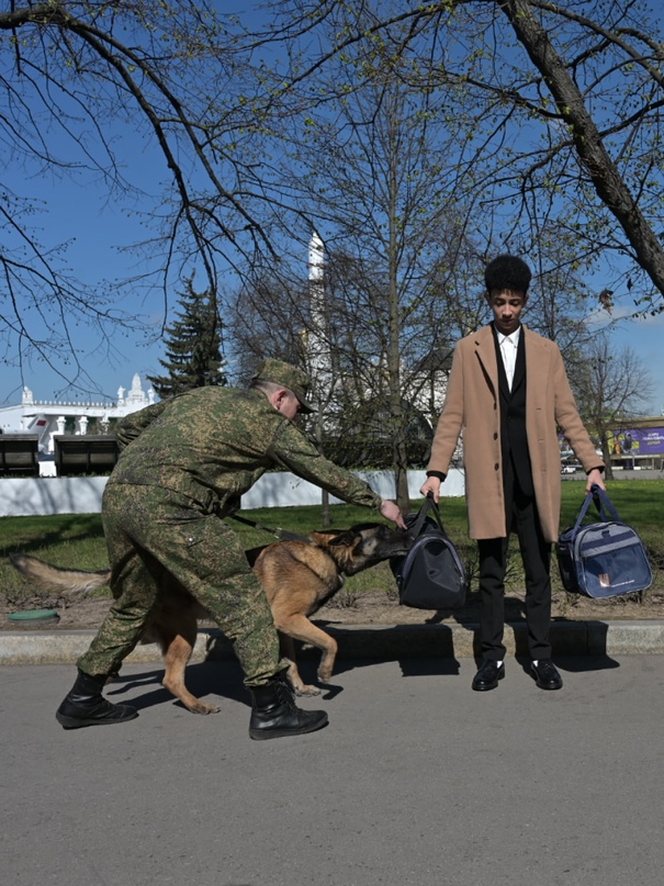 А вот и друзья наши меньшие из ФТС России