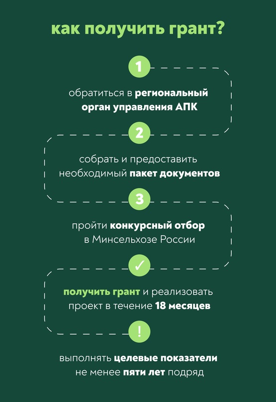 Начали принимать заявки на грант «Агротуризм» на 2025 год