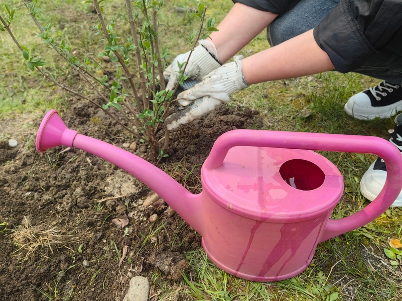 Пятая эколого-патриотическая акция, приуроченная ко Дню Победы, состоялась в эти выходные в Свободном