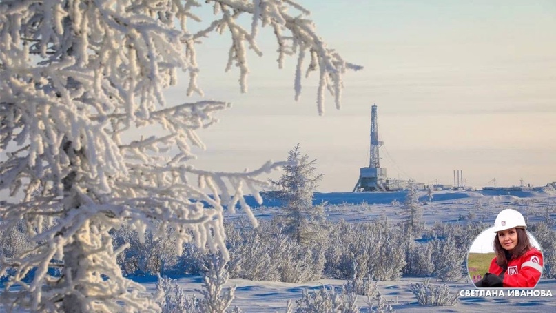 С Днём полярника! Поздравляем коллег, которые несут вахту в непростых климатических условиях