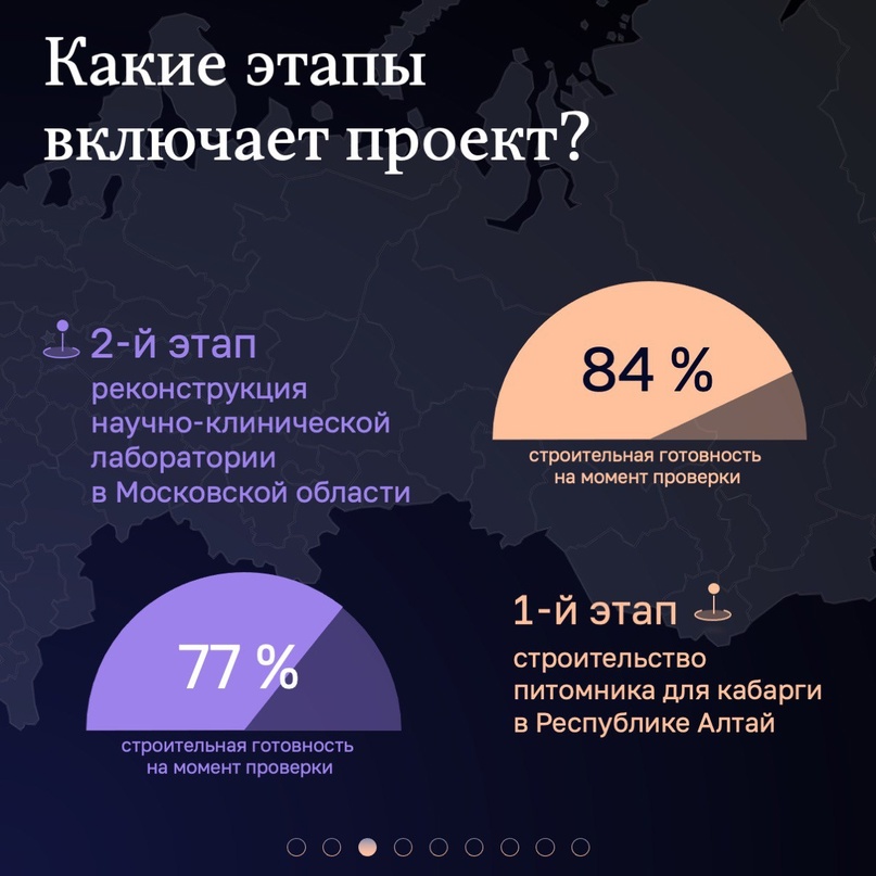 Кабаргу разводят? Проект по созданию научно-клинической лаборатории с питомником для разведения и содержания кабарги реализуется на низком уровне: сроки не…