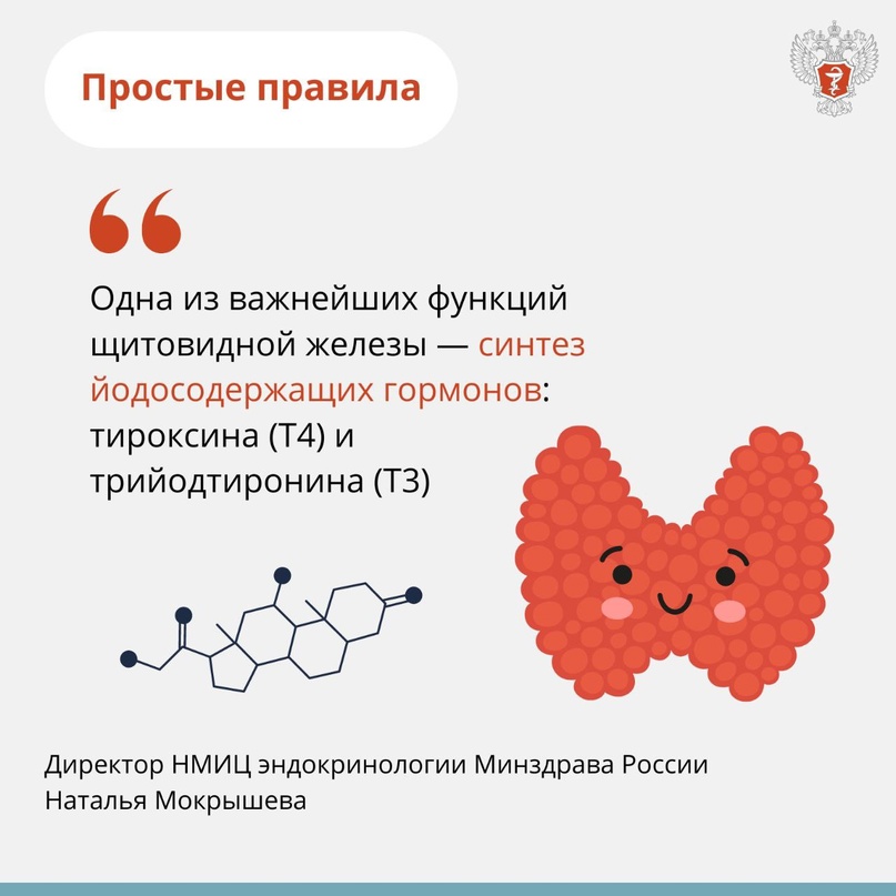 #ПростыеПравила: Заботимся о щитовидной железе