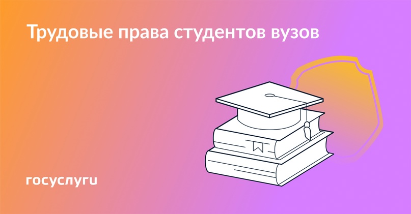 Вуз и работа: что с трудовыми правами