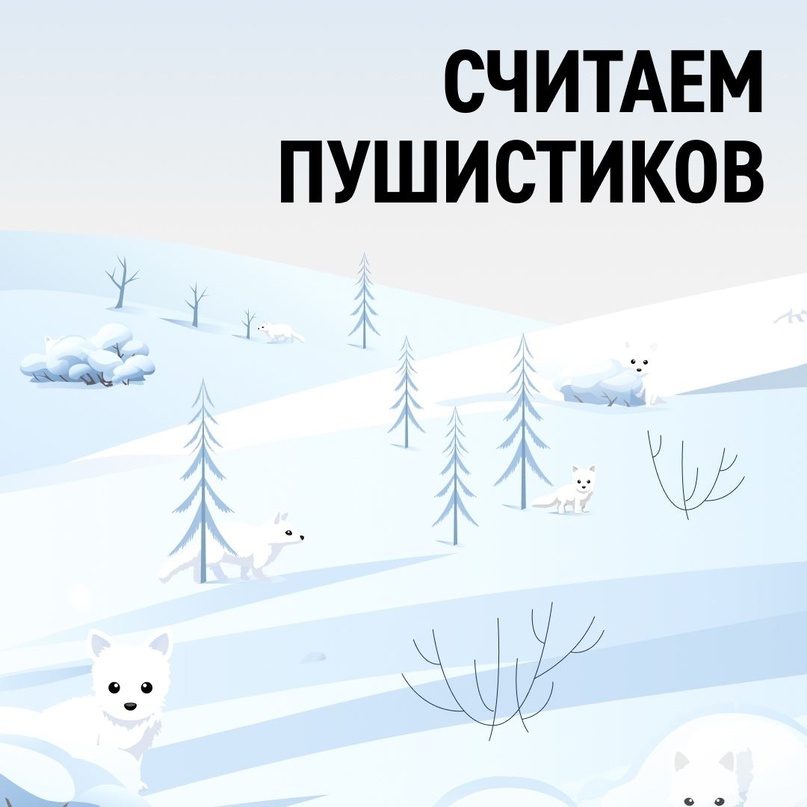 «Этот пушистик почти сливается со снегом, видно только чёрные глазки», — так вахтовик Руслан Деветьяров описывает песца