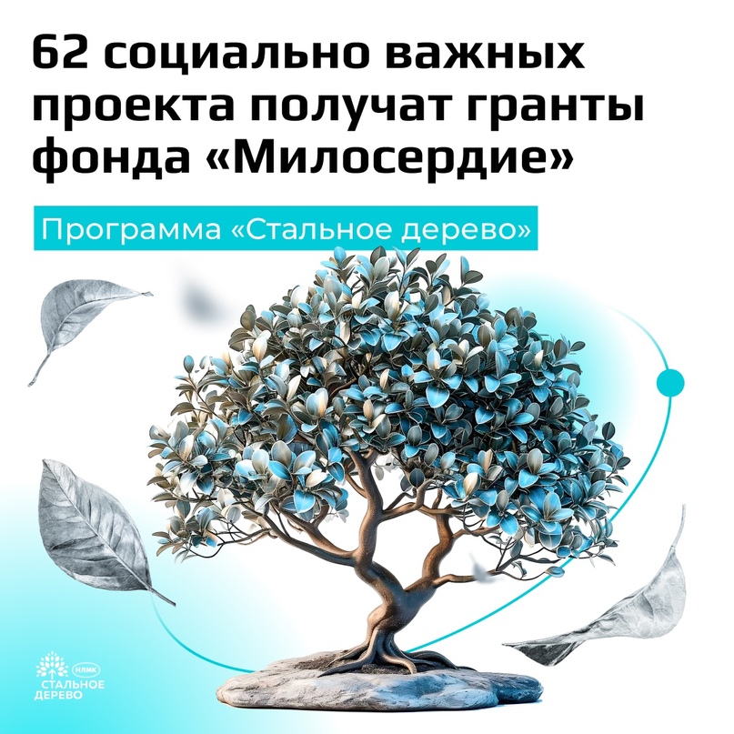 Подводим итоги программы «Стальное дерево» фонда «Милосердие»: гранты до 500 000 рублей получат 60 социально-важных инициатив из Липецкой, Белгородской,…