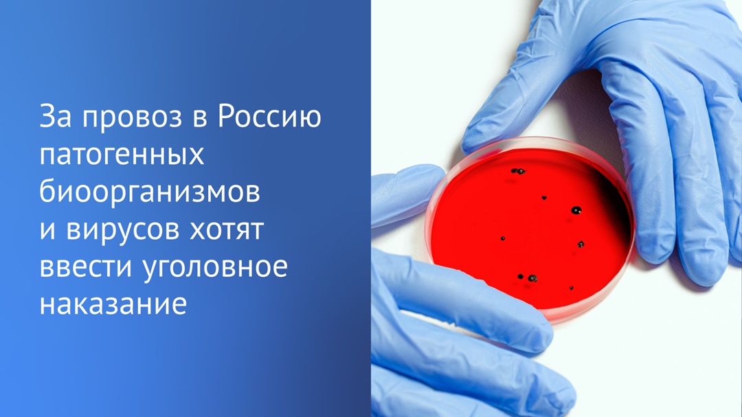 За ввоз вирусов и патогенных биоорганизмов предлагается ввести уголовную ответственность.