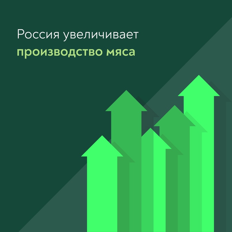 Сегодня замминистра Максим Титов провел совещание с ключевыми предприятиями и отраслевыми союзами.