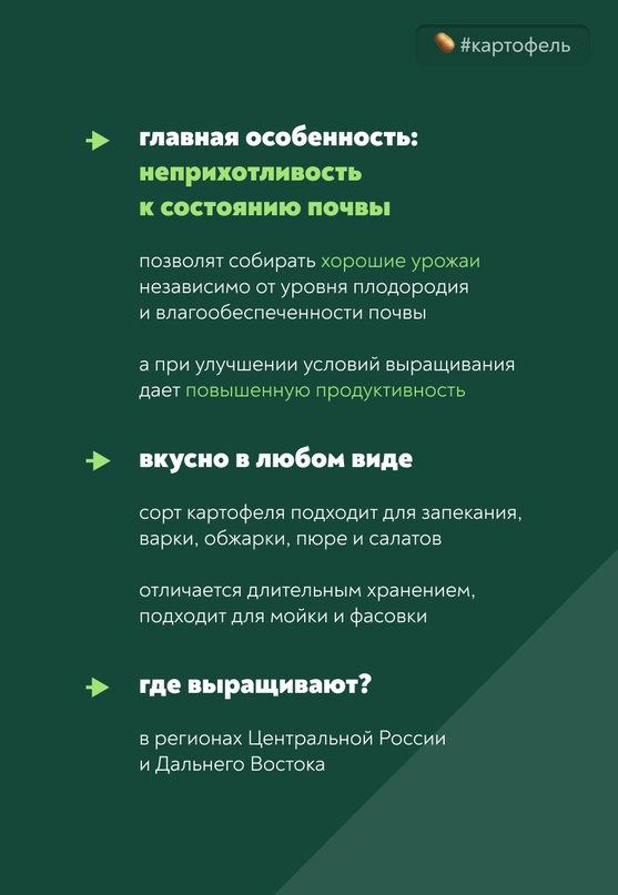 Высокая и стабильная урожайность «Краса Мещеры» дает хорошие урожаи независимо от плодородия почвы и ее влагообеспеченности.