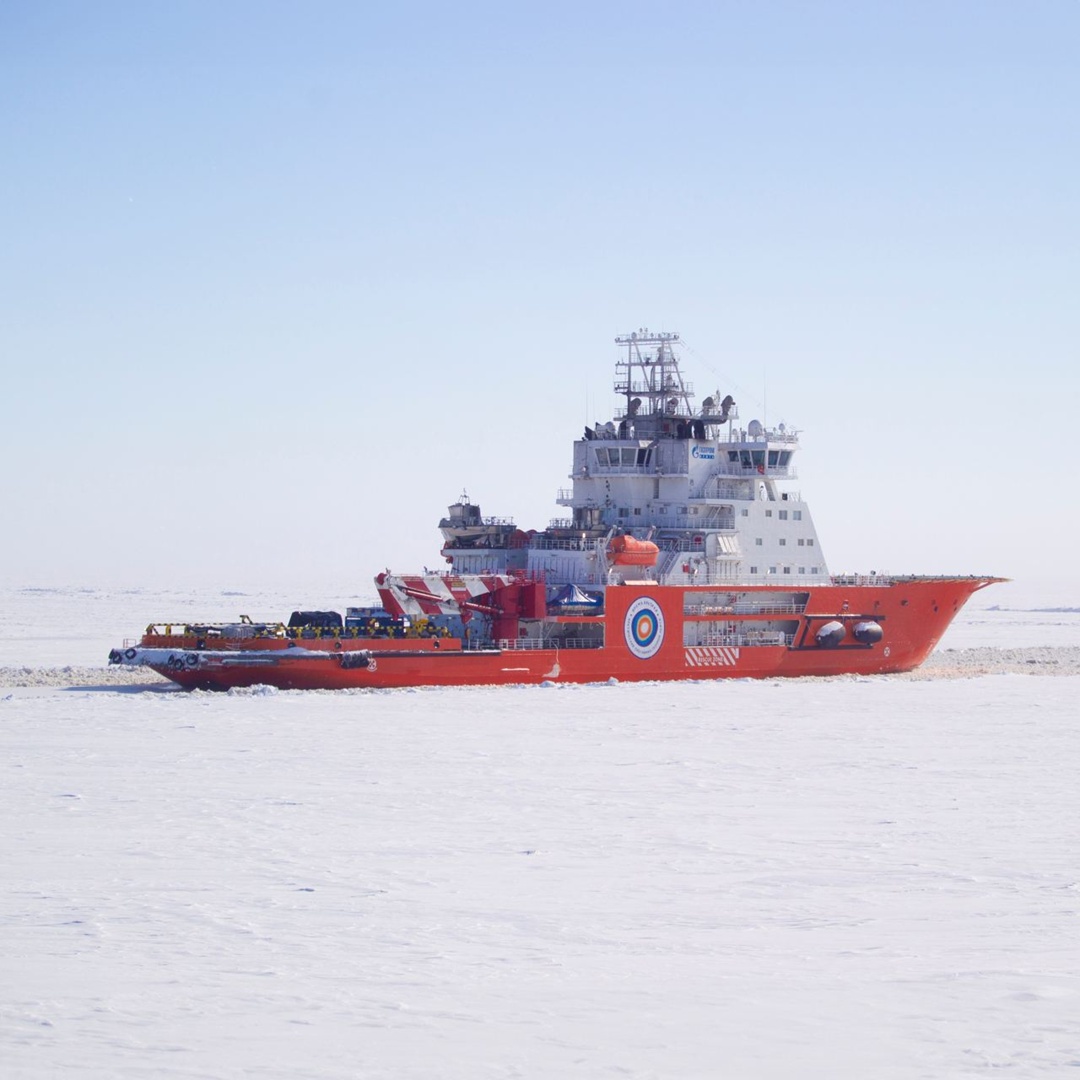 Во время метели наши моряки увидели на льду Обской губы одинокую собаку