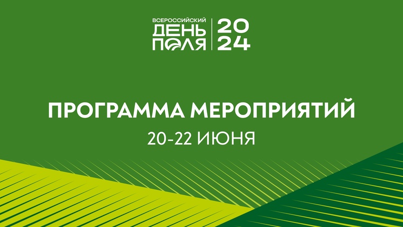 Рассказываем, какие развлечения подготовили для гостей «Всероссийского дня поля»