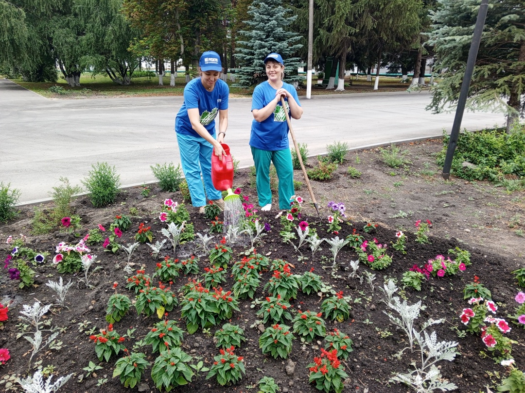 В сахарном бизнес-направлении «Русагро» продолжается реализация конкурса по озеленению территорий