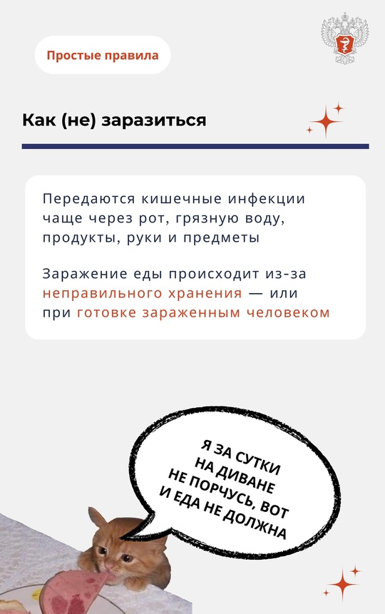 Лето — не только сезон отпусков и отдыха, но и повышенной опасности пищевого отравления