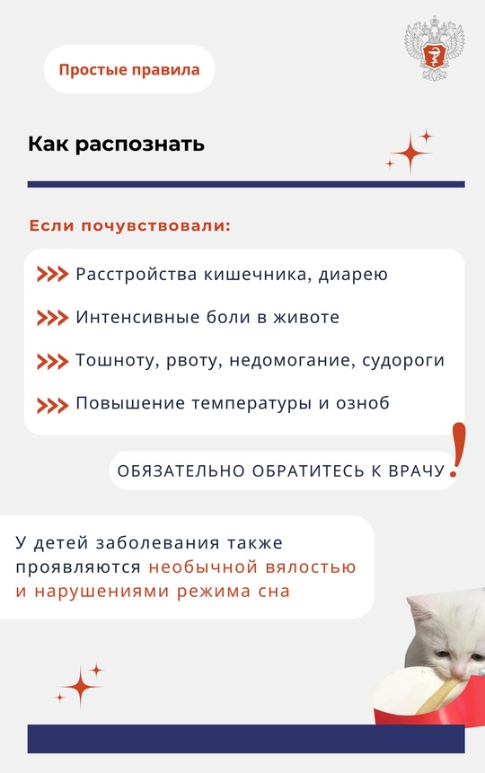 Лето — не только сезон отпусков и отдыха, но и повышенной опасности пищевого отравления