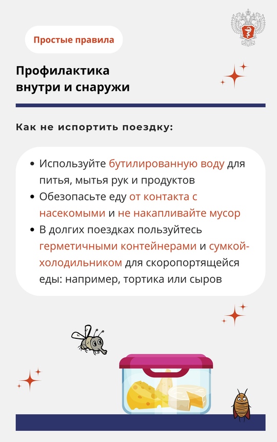 Лето — не только сезон отпусков и отдыха, но и повышенной опасности пищевого отравления