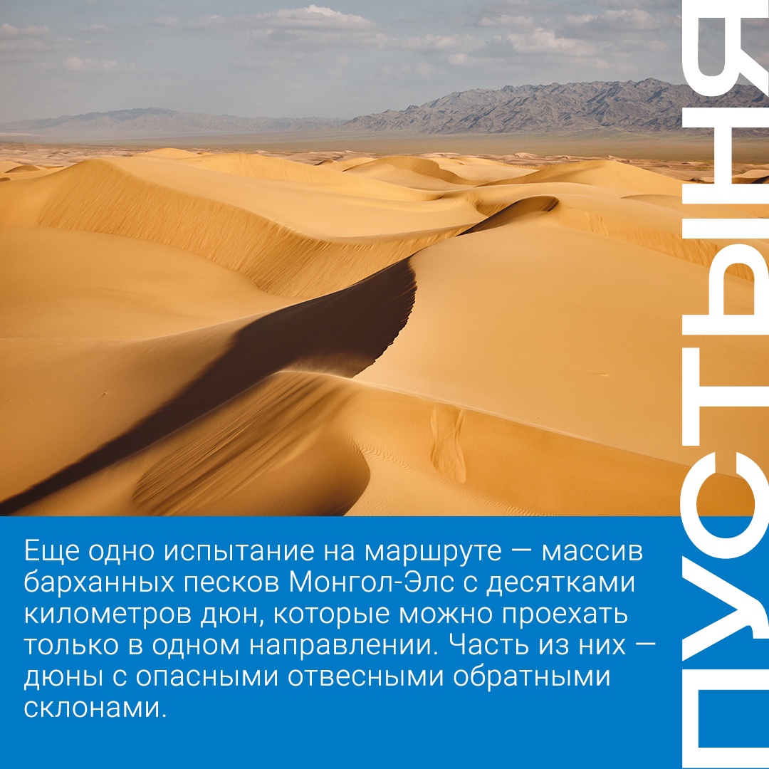 Погоня за «Белым тигром» начинается сегодня! В Томске дан старт ралли «Шелковый путь»