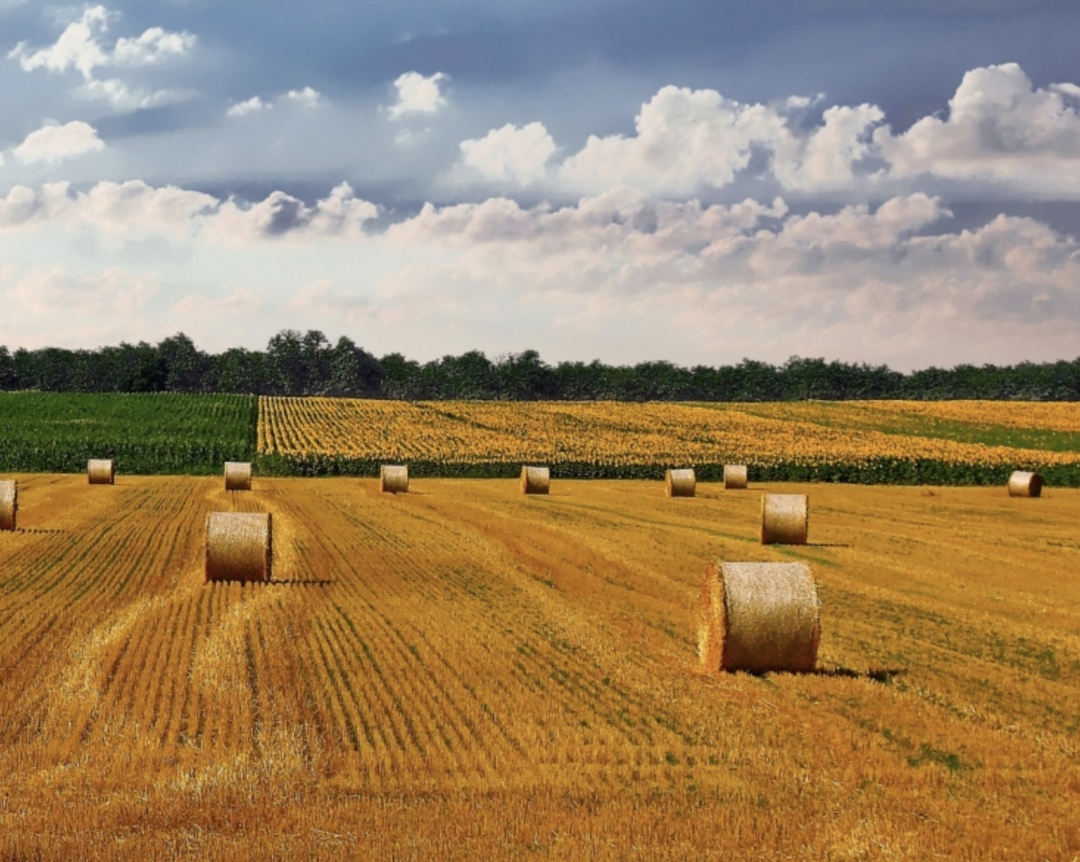 Согласно прогнозу Минтруда, к 2029 году в России число сотрудников на руководящих должностях сократится на 533 тыс. человек, пишет РБК, ссылаясь на документ…