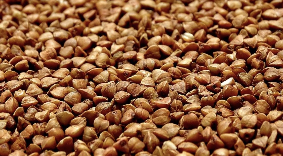 По данным Главного таможенного управления КНР, которые приводит центр «Агроэкспорт», за первые пять месяцев 2024 года в страну было поставлено 93,7 тыс. т…