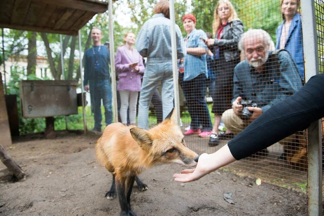 Дмитрий Чернышенко: В программе «Студтуризм» участвуют 83 региона России