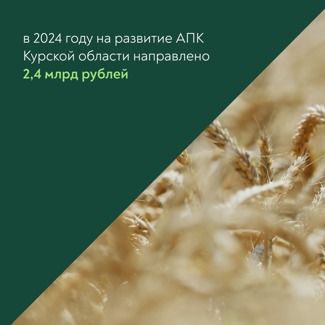 Оксана Лут обсудила с врио главы Курской области Алексеем Смирновым результаты работы регионального АПК и планы на перспективу.
