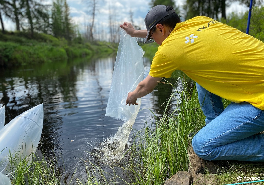 900 000 мальков пеляди отправились обживать Вилюйское водохранилище!