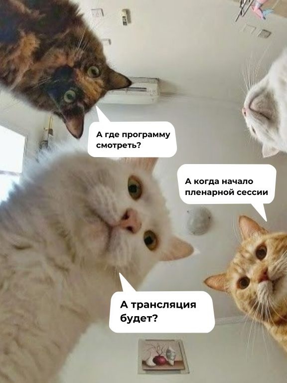 До начала пленарной сессии «Как увеличить продолжительность здоровой и активной жизни» остались считанные минуты