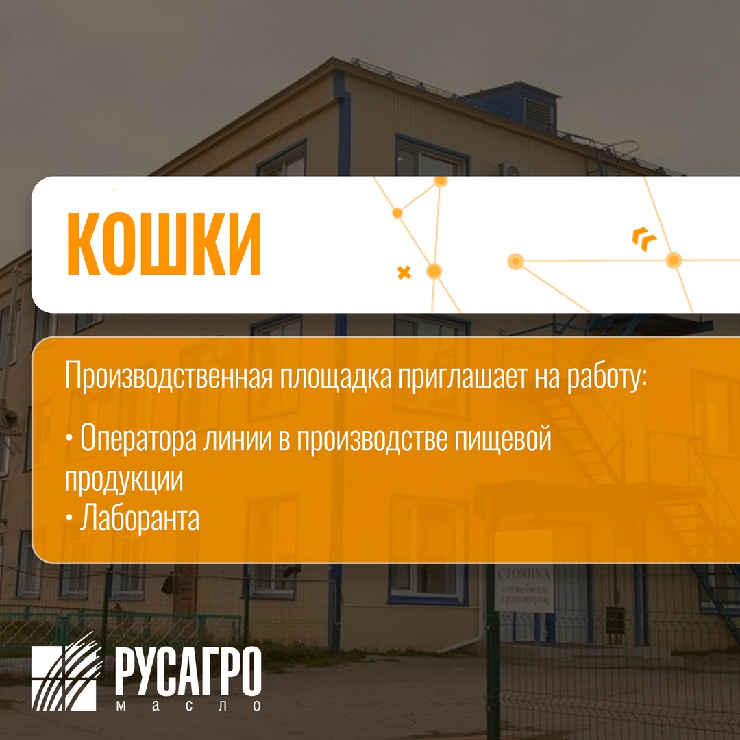 Найдите свою идеальную работу в «Русагро Масло»! Заполните анкету на трудоустройство в два клика прямо сейчас: Мы гарантируем: Стабильную зарплату (выплаты 2…