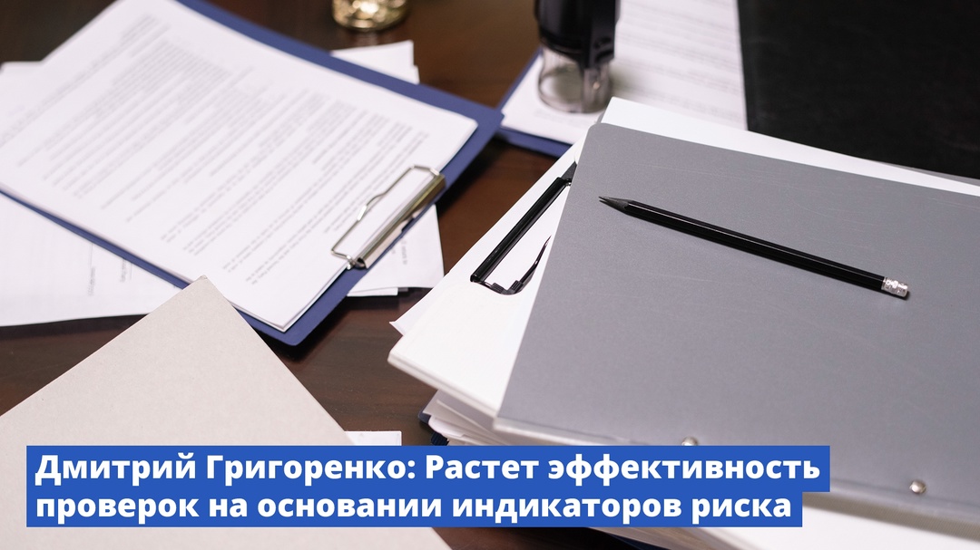 Дмитрий Григоренко: Растет эффективность проверок на основании индикаторов риска