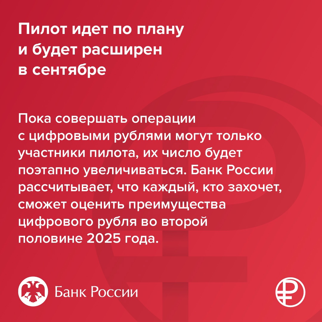 Пилот по цифровому рублю стартовал ровно год назад