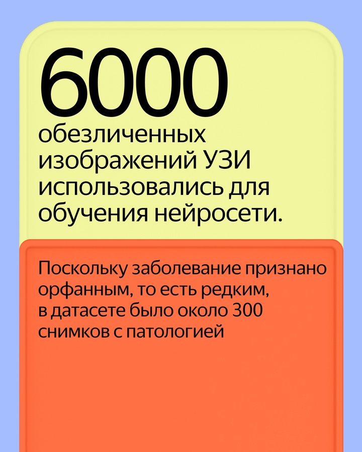 Нейросеть Яндекса поможет врачам выявлять признаки редкого заболевания spina bifida на ранних сроках беременности