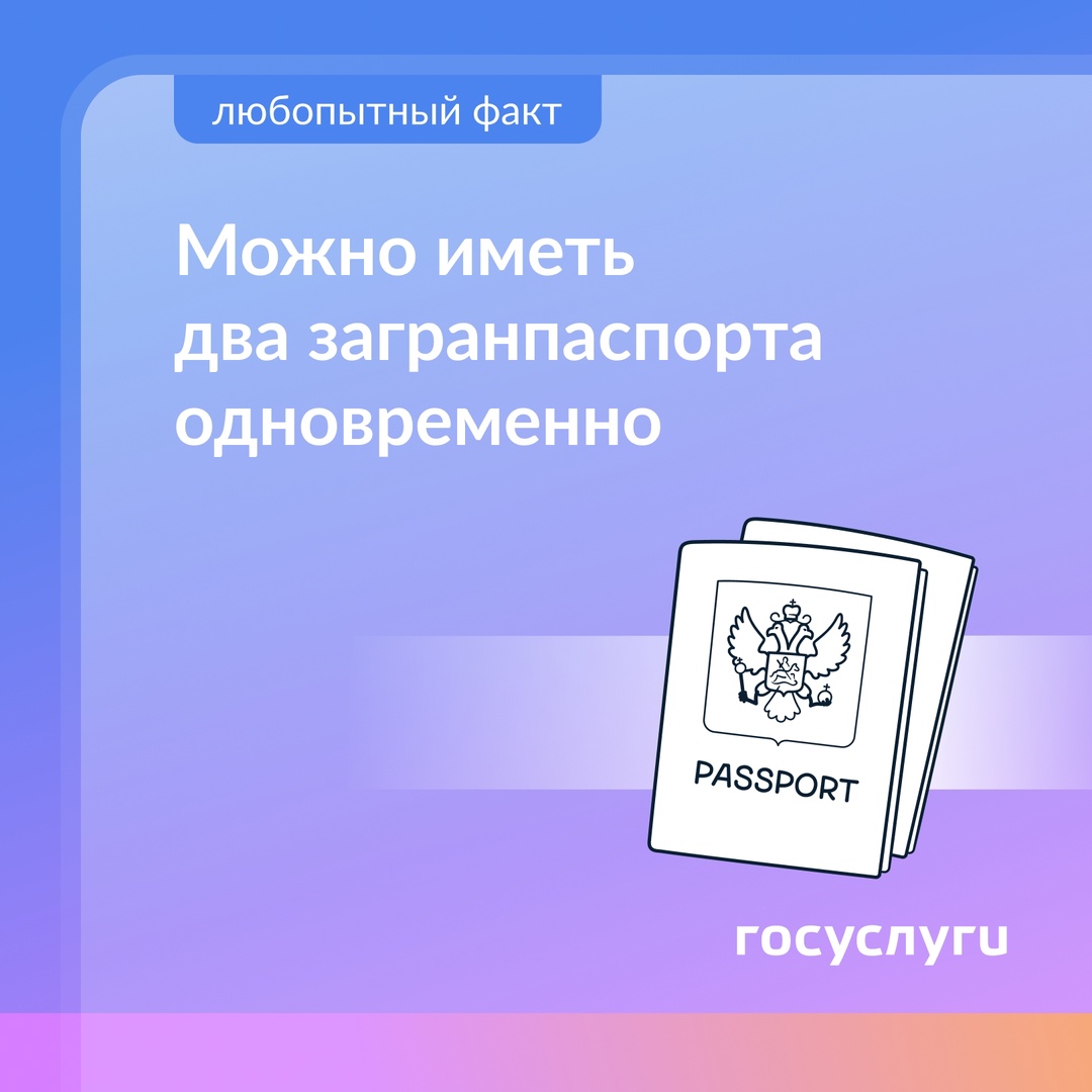 Два загранпаспорта — это законно При наличии загранпаспорта можно оформить второй, даже если первый еще действует