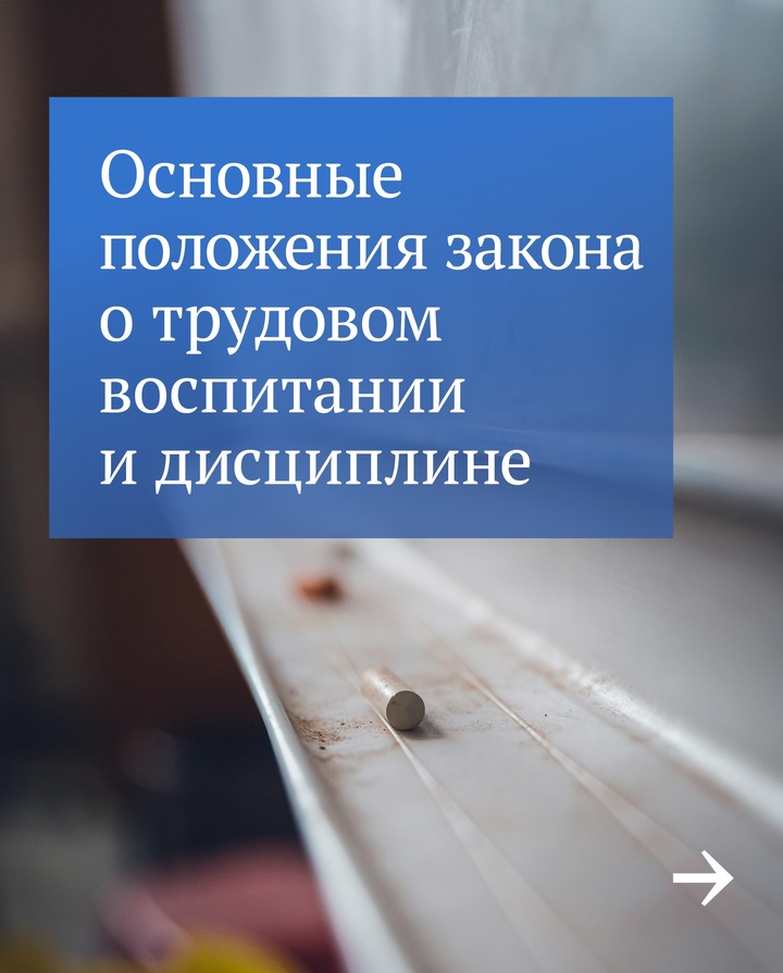 В этом учебном году закон о новых предметах в школе вступил в силу. Стали обязательными уроки труда, появился предмет «Основы безопасности и защиты Родины».